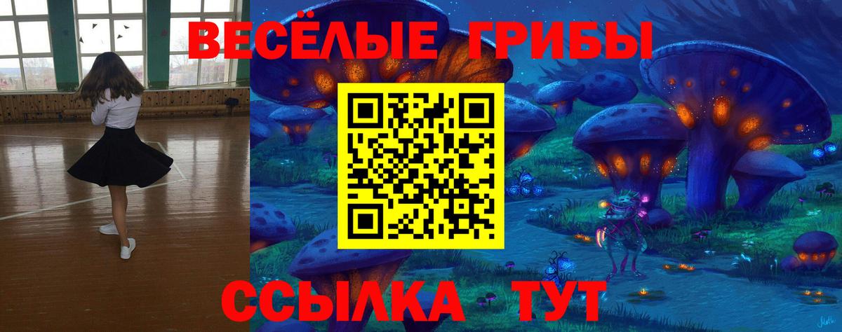 купить наркоту  Псилоцибиновые грибы Magic Shrooms  Конаково  Вход с VPN  Галлюциногенные грибы MAGIC MUSHROOMS 